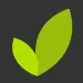 Paidviewpoint logo